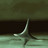 kiki474's profile image
