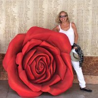 Bonnie Cohen - @BonnieC16406973 Twitter Profile Photo