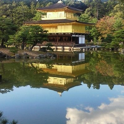 5UCpxBKKHaXzhMJ's profile picture. 