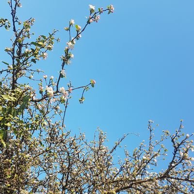 👐 Artisanat & savoir-faire
🌲 Circuits courts
♻️ Zéro Déchet ~ Vrac
🇫🇷 Confection française
🧩 Montessori
❤ Pleine conscience