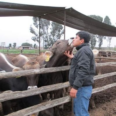 Ganadero y Gerente General de JRH GENETICS EIRL.
Pasionario del Caballo Peruano de Paso y aficionado a los toros.