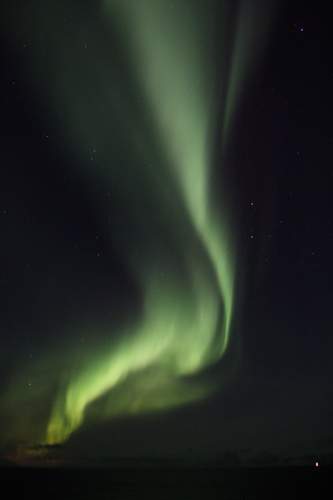 cthreeo3's profile picture. curiouser & curiouser