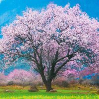 Michael Kearns (@michael78612649) 's Twitter Profile