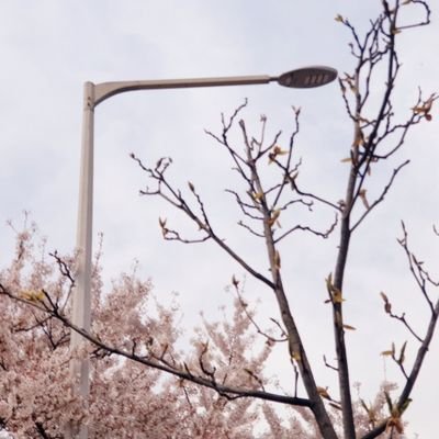 커미션「NB」さんのプロフィール画像