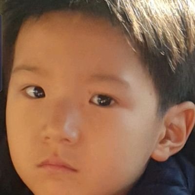 constantstory's profile picture. 