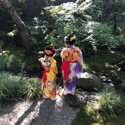 一歩進んで2歩下がる