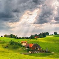 Tolga (@tolga00989792) 's Twitter Profile