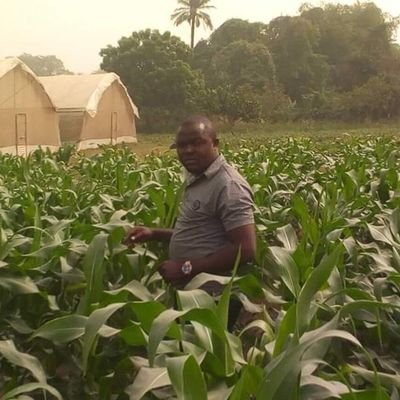 I am a passionate Agronomist, with key interest in plant nutrition and disease control