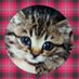 ãã¿fujioka (@tami_interest) Twitter profile photo ãã¿fujioka (@tami_interest) Twitter profile photo