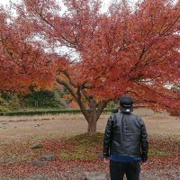 弘@愛知 (@bkhuc3e9vrlu0gx) 's Twitter Profile