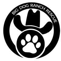 Big Dog Ranch Rescue (@bdrrescue) 's Twitter Profile