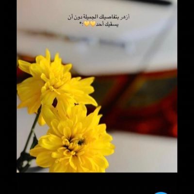 وإن سآلتوني عن النصر بآي عبارات الجمماااال اُجيب!!💙💛