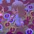 setsu7's profile image