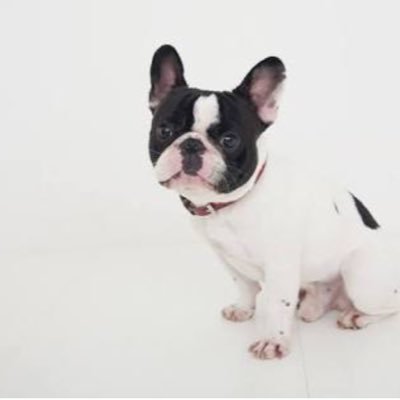 maruchan_072's profile picture. フルタイムダブルワークママ（とんだけ忙しいんだ） 佛教大学通信3年にR3年10月編入学 日々、疲労と眠気と闘いながら高校の教員免許取得のため、勉強頑張っています💪 無言フォローすみません。Twitterマナー知りませんので、ご無礼あったらすみません