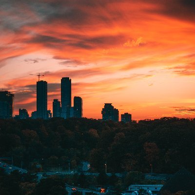 raquelmurilloda's profile picture. Fucked up