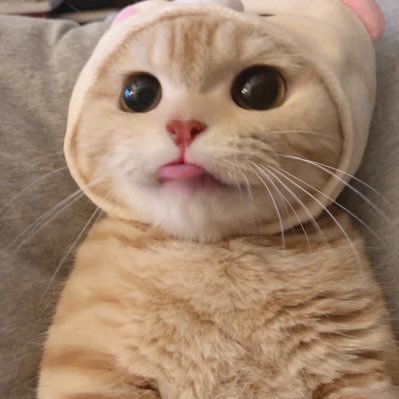 💗