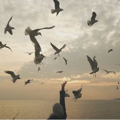 Tiaradella31's profile picture. Umar🤗