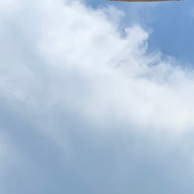 Dimitri Profile