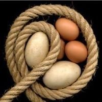 tomasfotos's profile picture. Understand the world, as it is. I watch it, I listen to it. I see. I take photos, I capture it in images. I learn every day. act together to make it more fair?