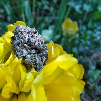 Urban10469237's profile picture. Is what it is ...
FOLLOW ME! or don't...