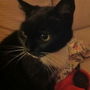 Rosie Marks-Spalton - @rosiethemoggie - Twitter