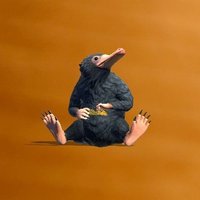 DuskyLeafMonkey (@leafduskymonkey) 's Twitter Profile