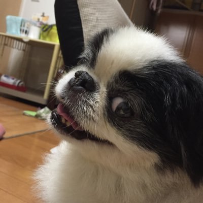 西城秀樹さんの65回目の誕生日を記念してTwitterのアカウントを作りました❤ヒデキさんの偉業を作品をずっと後世まで残したい❣️ヒデキさんをもっともっと知って貰いたい🙏💕 デビュー50周年を皆さんと盛り上げたいです✊宜しくお願い致します🙇