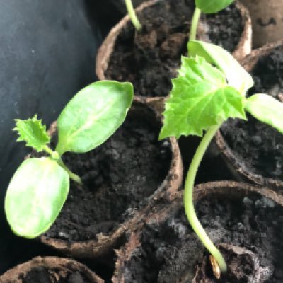 Andreasclipsmor's profile picture. Halton Hills