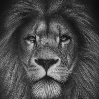 The_1_Maharaja's profile picture. pretty pretty pretty good
