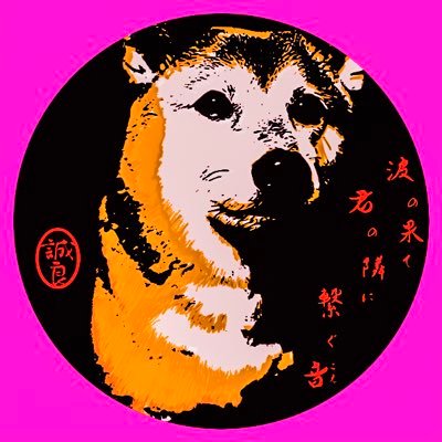 🌺洋画家🎨二元会会員🚹🌼💐地元の会社員🎊 🐈¸♬•*¨*•.¸🎬映画💐🎶音楽🍽グルメ 💞🐕etc.₊⁎・:**:˚✨₊⁎・:**:˚✧₊⁎・:**:🎉💖 ・:**:˚✧₊⁎✨💖こちらが RT専用垢です💁🏻 @studiopinkinc🙇無言フォローいいね申し訳ありません🙏