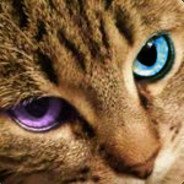 Nikarasu_sama's profile picture. (Φ ᆺ Φ) The next hardest part of my own personal experience is making a decision. /// INFJ ///