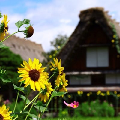 主に夏は旅、冬にスキー場関連の情報等を発信します。全国の知られていない魅力を発掘し、利用者の目線でお伝えしたいと考えています。特に自然、歴史、美味しいご飯、鉄道旅、スキーが好きです。ご紹介した場所に関する質問などがあればご連絡いただければお答えします。※ご紹介する場所はリアルタイムで訪れている訳ではありません。