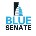 Blue Senate (@bluesenatepac) Twitter profile photo