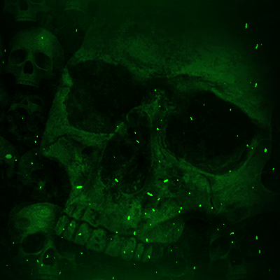 af_tommyt's profile picture. 