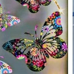 BallesMrs's profile picture. My Birthday 11~25~1986 😺 I LOVE to make random jokes. 😜 I will always love my Cuddly Polar Bear! AKA *My Husband* 💜 😜 I have been a SWIFTY since 4EVER!!✌️