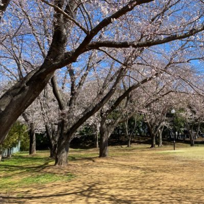 ゆりか 東京家政大学 家政学部 栄養学科 管理栄養士専攻 Dクラスです 大学が始まるのが遅くなり焦ってtwitterを始めました よろしくお願いします フォローなどして頂けると嬉しいです 東京家政大学 管理栄養士専攻 春からtku