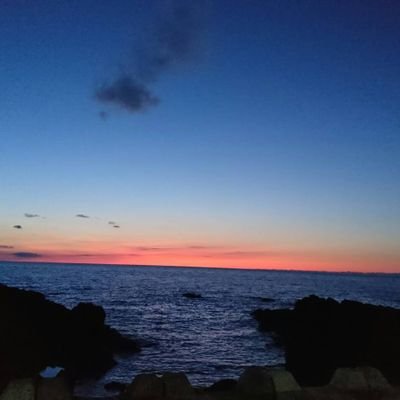 akie34217346's profile picture. 