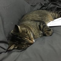 Mark Benkart (@k4rmaa__) 's Twitter Profile Photo