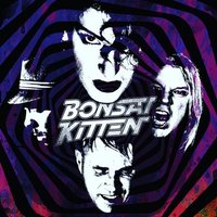 BONSAI_KITTEN (@bonsai_kitten) 's Twitter Profile