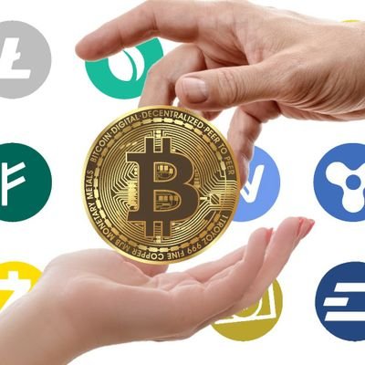 Crypto cognoscente, daring Dreamer, talented Trader, Economic majors.