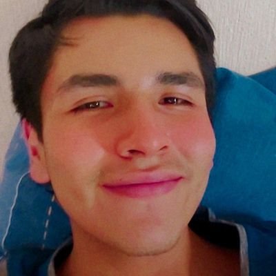 MoissPajarito1's profile picture. UwU