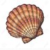 La Concha (@mijovillamelon) Twitter profile photo La Concha (@mijovillamelon) Twitter profile photo