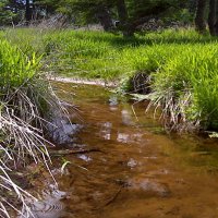 Cornwall & Area Watershed Group (@cawgpei) Twitter profile photo