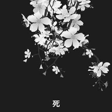 thomasmagnier's profile picture. 