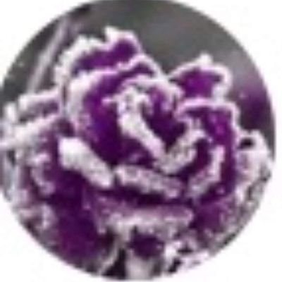 NwEH6Y3QIeyDSPd's profile picture. ام ملك