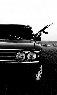 RomaSevastopol's profile picture. 