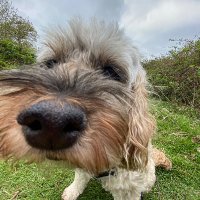 carstairs95 (@carstairs951) 's Twitter Profile Photo carstairs95 (@carstairs951) 's Twitter Profile Photo