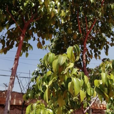 Sobreviviendo el último tramo de la vida, nadando para arribar a la Bahía soñada