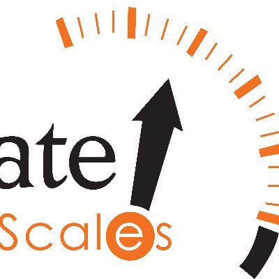 Medical scales, Retail scales, Industrial scales, Agricultural scales, Temperature gauges, Vehicle scales and Weigh module for various Tank/Vessel/Hopper scales