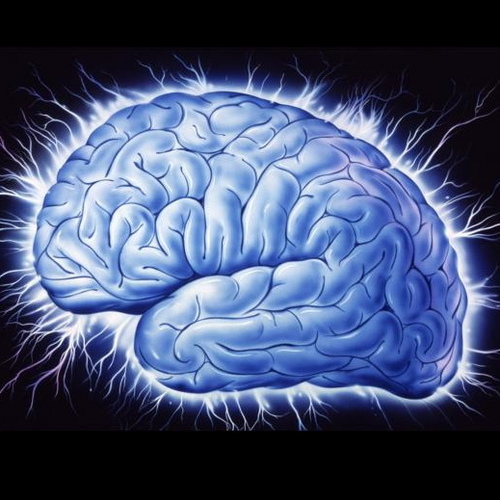 Brain scientist, Professor, Maker, Writer, Workshop Teacher